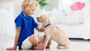 “Daddy, Can I Have a Puppy?”  - What Every Parent Should Consider