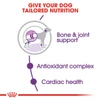 5e721f39_royal-canin-giant-adult-food-15-kg