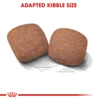 5e721f39_royal-canin-giant-adult-food-15-kg