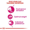 5e958dfc_royal-canin-exigent-cat-dry-food-400-g