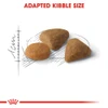 5e958dfc_royal-canin-exigent-cat-dry-food-400-g