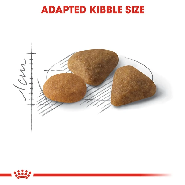 5e958dfc_royal-canin-exigent-cat-dry-food-400-g