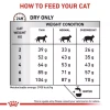 5fcf9e3c_royal-canin-fibre-response-cats-dry-food-4kg