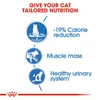 606da434_royal-canin-light-weight-care-gravy-85g