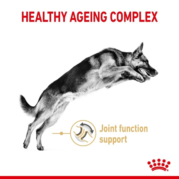 60c0c285_royal-canin-german-shepherd-adult-5-dry-dog-food-12-kg