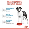 62ff6105_royal-canin-giant-junior-dog-food-15-kg