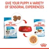 6310e109_royal-canin-mini-puppy-dry-food-4kg