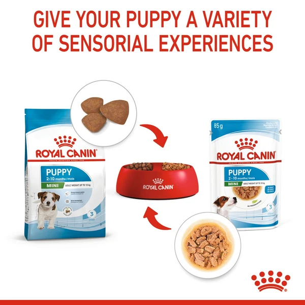 6310e109_royal-canin-mini-puppy-dry-food-4kg