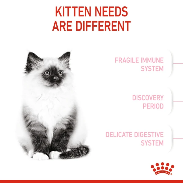 6310e6e6_royal-canin-kitten-dry-food-400g