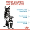 6311e65b_royal-canin-maxi-starter-dry-food-15kg