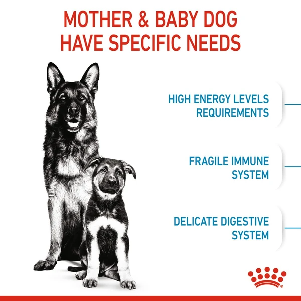 6311e65b_royal-canin-maxi-starter-dry-food-15kg