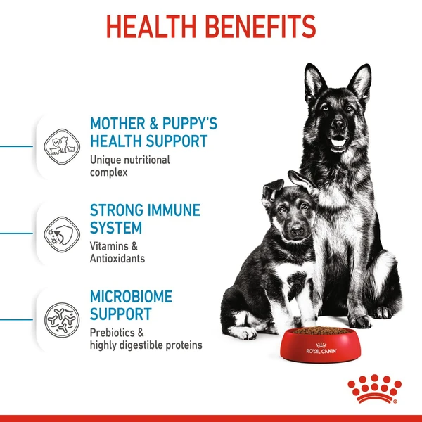 6311e65b_royal-canin-maxi-starter-dry-food-15kg