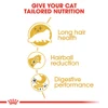 5ce2cb2a_royal-canin-persian-adult-cat-food-10kg