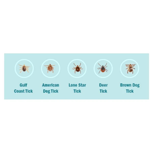 6464a83d_simparica-trio-chewable-tablet-for-dogs-20-40-kg-x-1-tablet