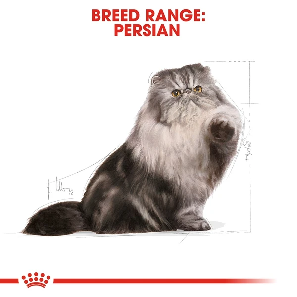 5ce2ccb2_royal-canin-persian-adult-cat-food-400g