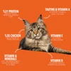 65118005_legends-wholesome-chicken-adult-cats-dry-food-3-kg