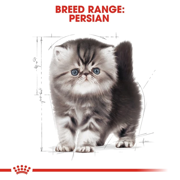 5ce2d877_royal-canin-persian-kitten-dry-food-400gm