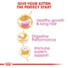 5ce2d912_royal-canin-persian-kitten-dry-food-400gm