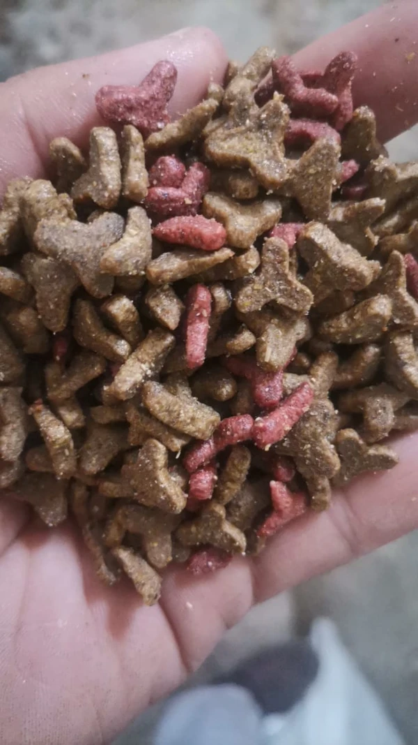 66461b0f_decatoo-adult-cats-dry-food-10-kg