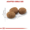 67a23069_royal-canin-sterilised-cats-dry-food-400g