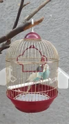 67af13a3_bird-cage-cylinder-shape