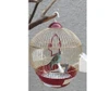 67af18fc_bird-cage-lantern-shape