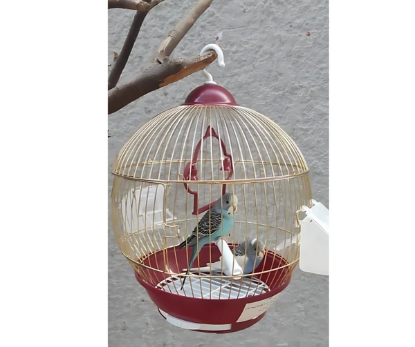 67af18fc_bird-cage-lantern-shape