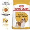 67d15213_royal-canin-cavalier-king-charles-3-kg