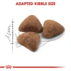 67f0f4ff_royal-canin-indoor-adult-dry-cat-food-400g