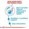 68b592b6_royal-canin-medium-starter-food-4-kg