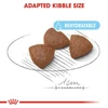 68b592b6_royal-canin-medium-starter-food-4-kg