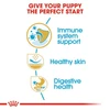 68badd88_royal-canin-pug-puppy-dog-dry-food-1-5-kg