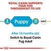 68badd88_royal-canin-pug-puppy-dog-dry-food-1-5-kg