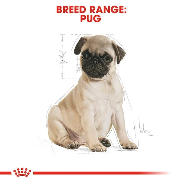 68badd88_royal-canin-pug-puppy-dog-dry-food-1-5-kg
