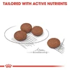 68bae9c4_royal-canin-mini-digestive-care-dog-dry-food-3-kg
