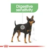 68bae9c4_royal-canin-mini-digestive-care-dog-dry-food-3-kg