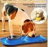 68c7cf45_2-stainless-steel-dog-cat-bowls-with-non-slip-silicone-mat-food-water-feeder-for-pets