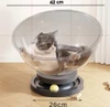 68cd01b7_circular-plastic-cat-bed-with-2-interactive-rolling-balls-durable-transparent-pet-lounge