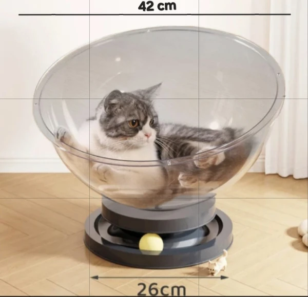 68cd01b7_circular-plastic-cat-bed-with-2-interactive-rolling-balls-durable-transparent-pet-lounge