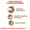 5cf664a2_royal-canin-ageing-12-dry-food-for-cats-2kg