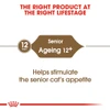 5cf664a2_royal-canin-ageing-12-dry-food-for-cats-2kg