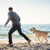 68d2656a_doco-vario-nylon-dog-leash-with-reflective-thread-medium-2-0-x-120cm
