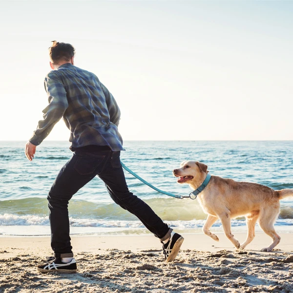 68d2656a_doco-vario-nylon-dog-leash-with-reflective-thread-medium-2-0-x-120cm