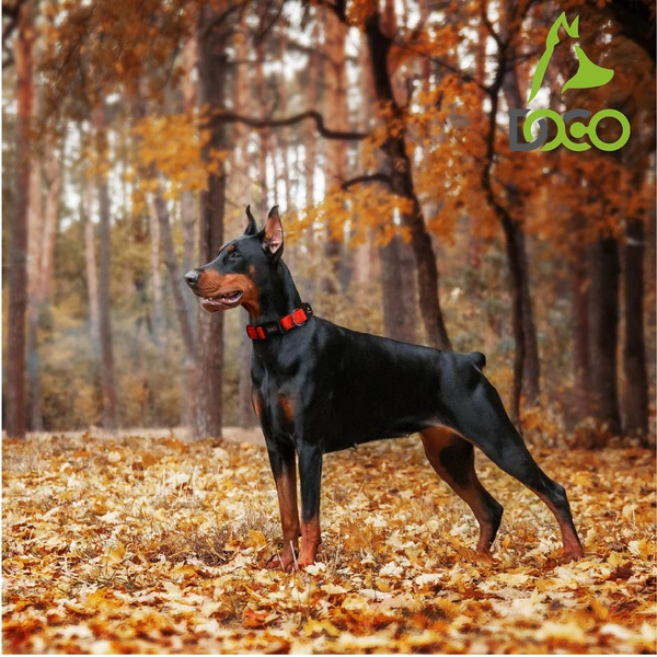 68d7d02b_doco-puff-mesh-dog-collar-large-3-2-x-45-66cm