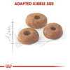 5cf68341_royal-canin-fit-cat-dry-food-400g