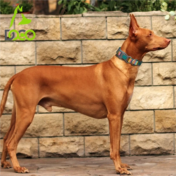 68fb7ac3_doco-jacquard-weave-dog-collar-small-2-0-x-27-37cm