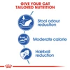 5cf6883f_royal-canin-indoor-adult-dry-cat-food-2kg