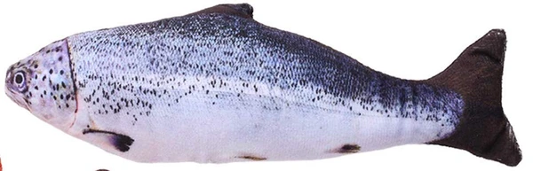 691a18ed_soft-fish-toy