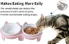691a2592_pet-food-bowl-for-dogs-and-cats-ceramic-with-stand-15-cervical-spine-protection