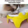 691a2592_pet-food-bowl-for-dogs-and-cats-ceramic-with-stand-15-cervical-spine-protection